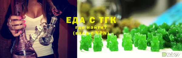 индика Бугульма