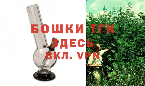 индика Бугульма