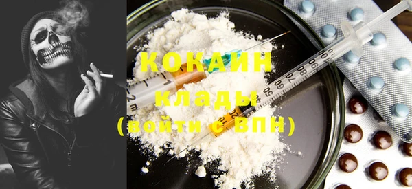 тгк Бронницы