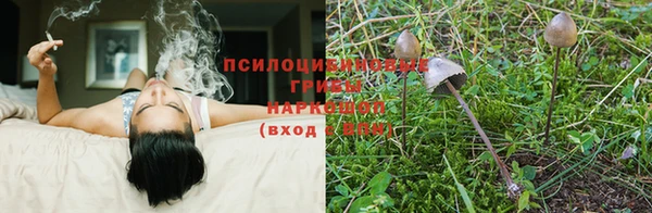 тгк Бронницы