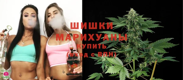 тгк Бронницы